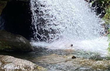 Cabana Vale Matutu - Foto 34