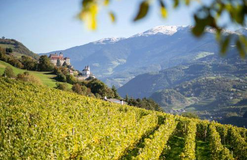 Appartment Larcher - Meinhard - Foto 31