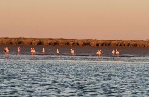 DULCE CARMEN - Photo 51