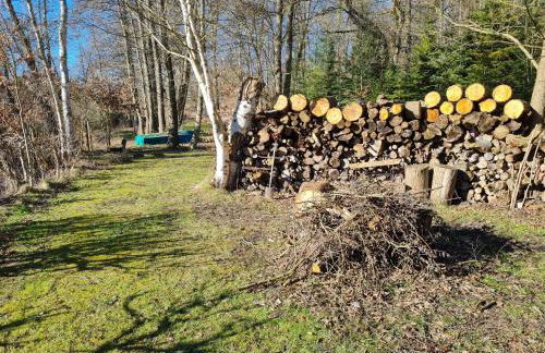 4 Sterne-Haus am See - Foto 78