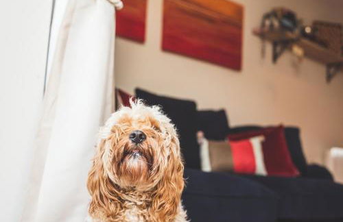 The Coastal Annexe, Stoke Fleming - Foto 29