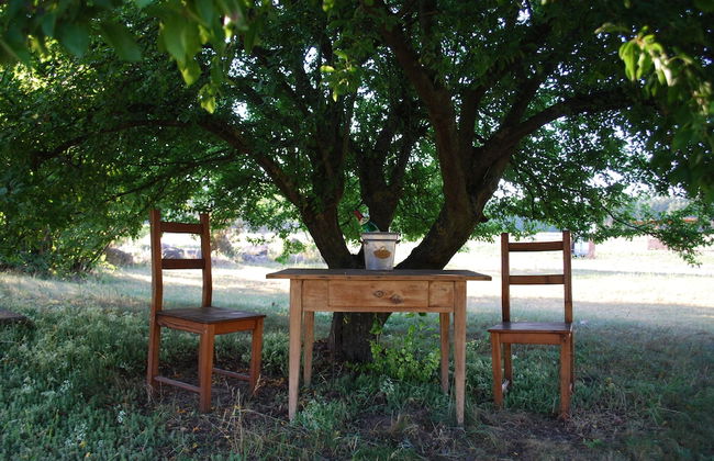 Ferienwohnung auf Pferdehof bei Neustadt - Foto 22