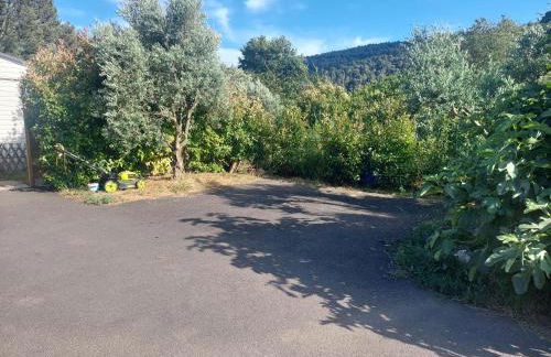 Charmant Mobil home avec piscine privative - Foto 15