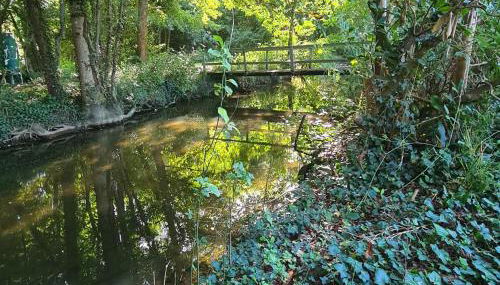 La maison d'Eliane - Foto 2