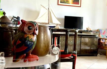 N084 - Numana, villa quadrilocale con meraviglioso giardino - Foto 33