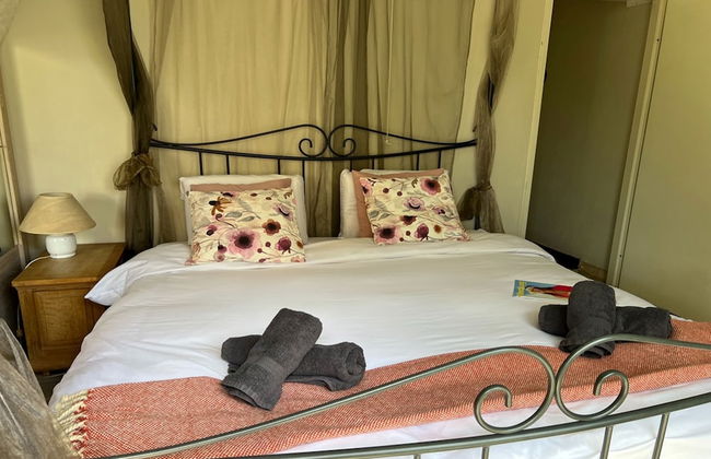 Ster Der Zee On Sea Shore - Foto 3