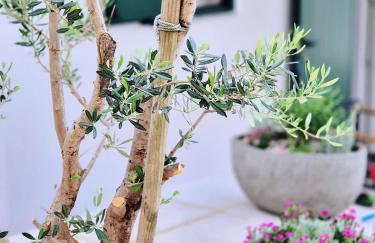 Mare`s Private House 1st floor with Pool - Foto 27