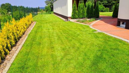 Ferienhaus Gerda & Heinz - Foto 5, Garden view