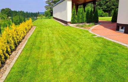 Ferienhaus Gerda & Heinz - Foto 5