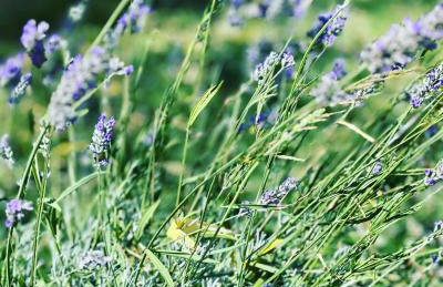 Apartment IslandSea - high end retreat with breathtaking sea views - Photo 35