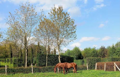 Domaine du Bosc Roger - Privatisation - Foto 20