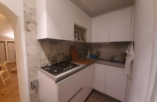 Pepita di Rio - Foto 16