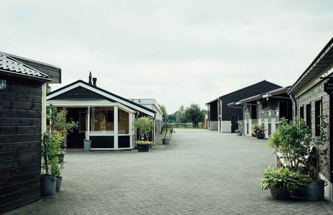 Lamperse hei - Photo 47