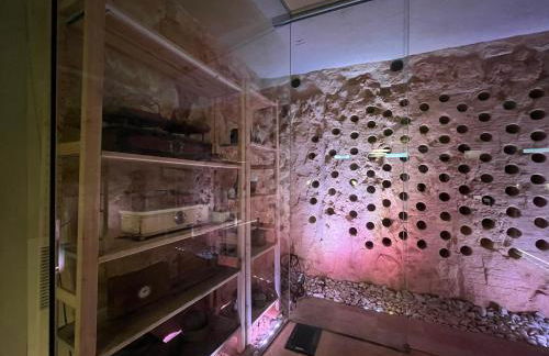 Large villa between Verona and Venice - Photo 45