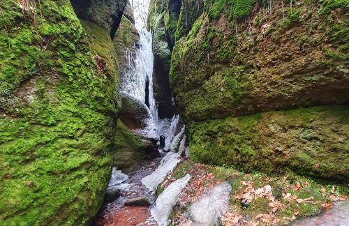 Ferienwohnung Schlothauer 2 - Foto 14