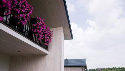 Krzaczasty Zakątek - Foto 2