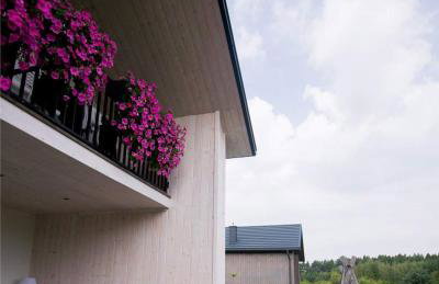 Krzaczasty Zakątek - Foto 2