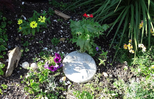 Suite at Trails End Beach House - Photo 26