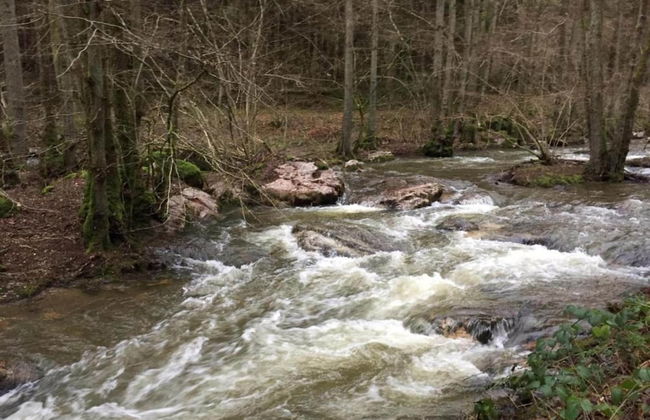 Apartment in Morbach Near Ski Lift - Photo 31