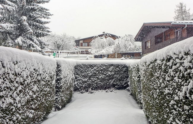 Les Chamois - Foto 11