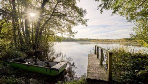 Chiffchaff Lodge with Hot tub - Foto 5