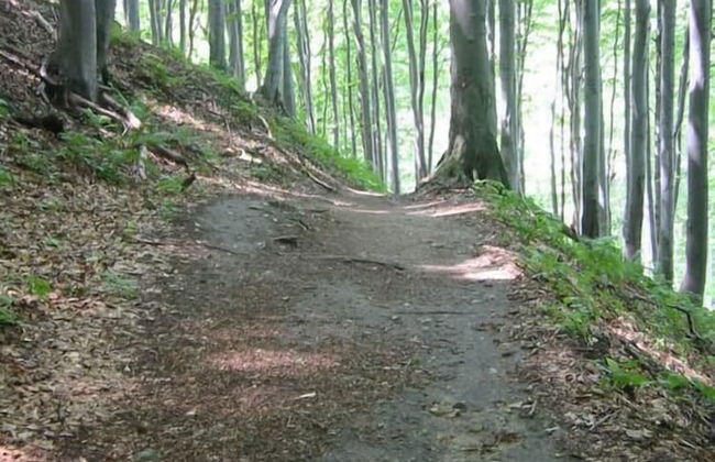 Vacation House Donacka Gora - Foto 16