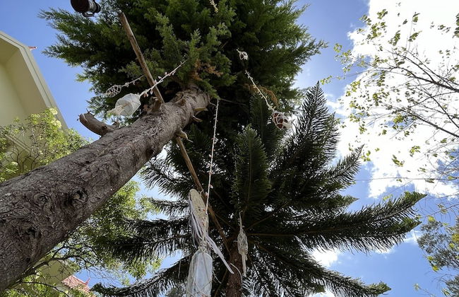 Le Hayat 4Bhk Pvt-Villa Kodaikanal TN - Foto 47