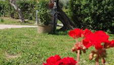 La Fattoria dei Desideri - Foto 4, Garden