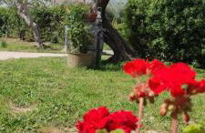 La Fattoria dei Desideri - Foto 6