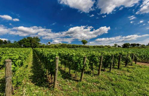 Moscatello & Mulinër Design Agri Relais - Photo 66