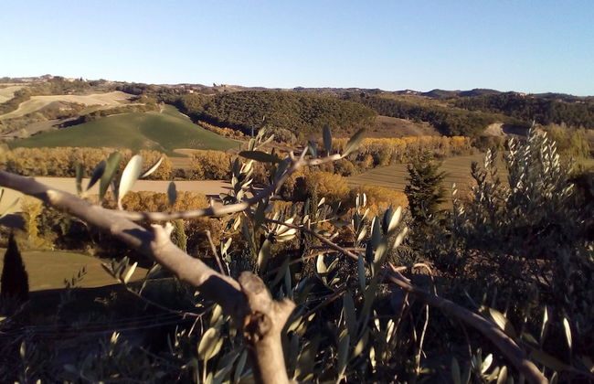 San Lorenzo Agriturismo - Foto 56