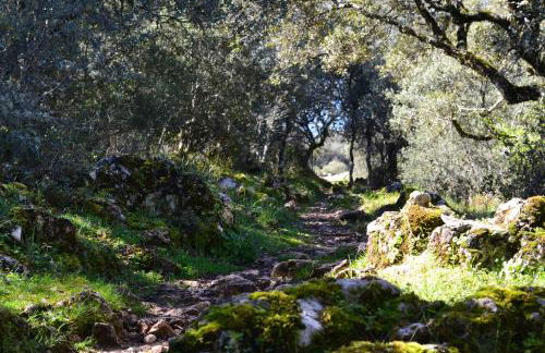 Casa Isabel - Foto 47