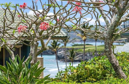 Kapalua Bay Villas 20G4 · KBV 20G4 Updated OceanFront for Whale - Foto 32