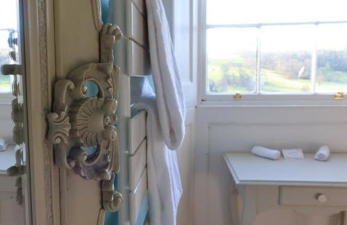 Plas Nanteos Mansion - Foto 52