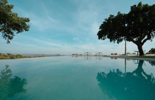 Herdade Vale de Cabras - Foto 32