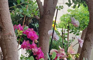 Casa d' Avó Zeza - Foto 9