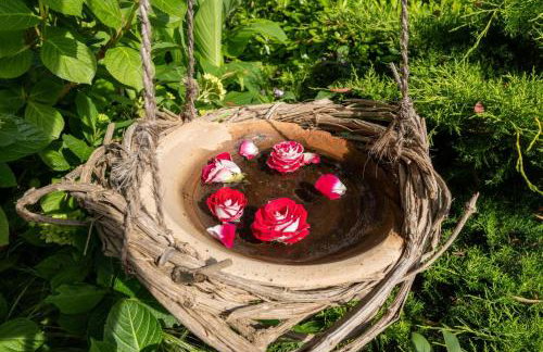 Villa Kosta - Foto 44