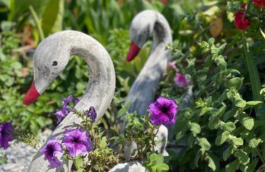 House of Sunset - Tranquility - View - Relaxation - Photo 73