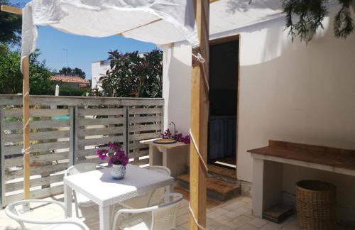 Mater Christi - Foto 14