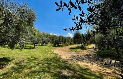 Podere il Casone - Foto 21