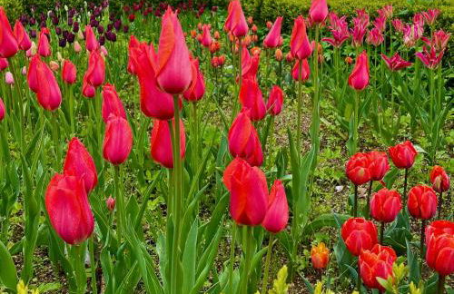 Bartley Mill Farmhouse - Photo 27