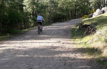 PLAZA DE LA VILLA 24 - Foto 30