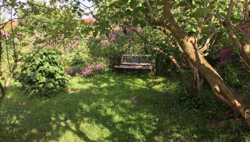 baerenhoele - Foto 3