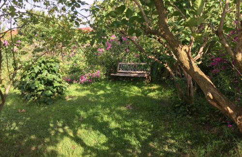 baerenhoele - Foto 3