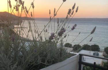 Cloudberry - Photo 24