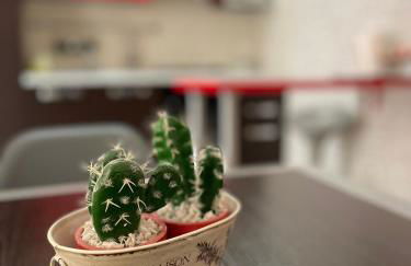 Casa MALÙ - Foto 12