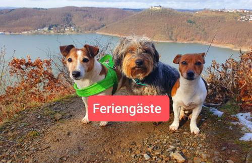 Ferienwohnung zum Märchenwald - Foto 60