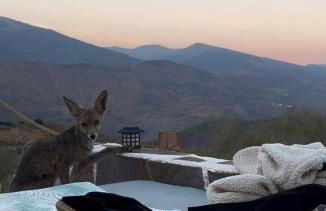 Cortijo La Vista - Foto 11