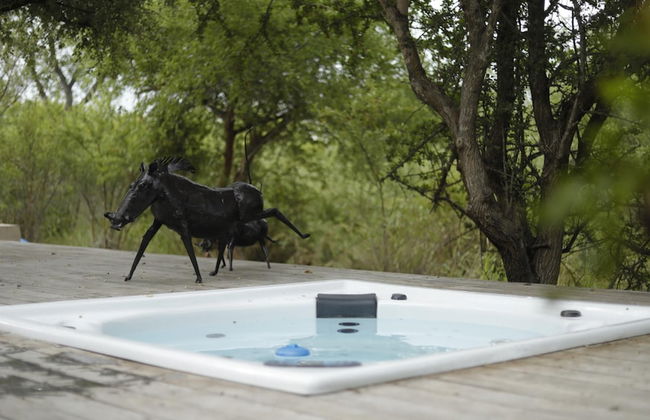 Villa Scarabee in Hoedspruit - Foto 9