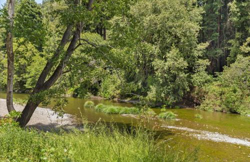 Cozy Creek Cabin - On Austin Creek Hot Tub - Dog Friendly - BBQ Grill - Fast WiFi - Foto 9